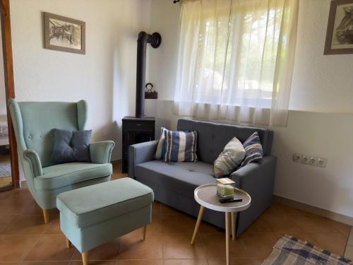 een woonkamer met een blauwe bank en een stoel bij Kuća za odmor PIKA in Duga Resa
