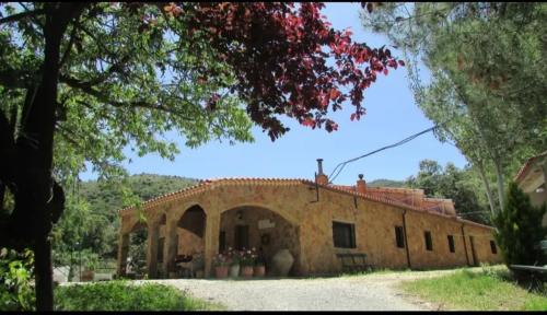 an old stone building in a field with trees at Hideaway @ The Orchard in Alcudia de Monteagud