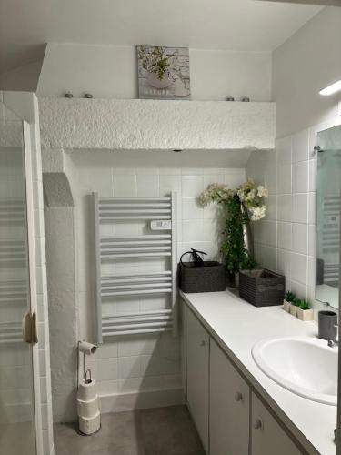 ein weißes Badezimmer mit einem Waschbecken und einem Spiegel in der Unterkunft Gite le Patis in Pré-en-Pail
