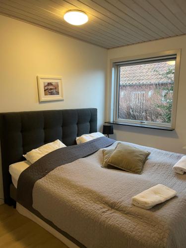 1 dormitorio con 1 cama grande con almohadas y ventana en Søhusets anneks2, en Viborg