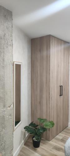 a room with a wooden cabinet and a potted plant at Apartamento Centro B in San Sebastián de los Reyes
