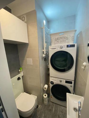 un piccolo bagno con servizi igienici e lavatrice di Apartment Střížkov a Praga
