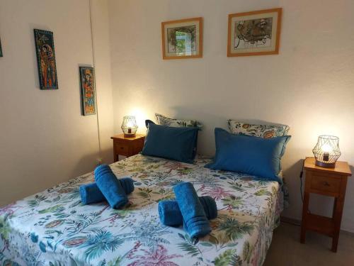 een slaapkamer met een bed met blauwe kussens erop bij Havre de Verdure 2 personnes in Entre-Deux