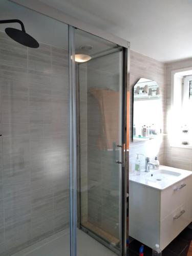 a bathroom with a glass shower and a sink at Médina maison 4 chambres 100m2 in Beuvrages