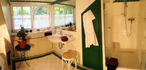 y baño con lavabo y ducha. en Förster Appartements en Bad Vöslau