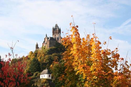 a castle on top of a hill with trees at Hotel Hieronimi in Cochem