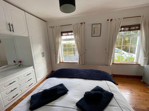 um quarto com uma cama grande com duas almofadas em Sonas Apartment em Galway