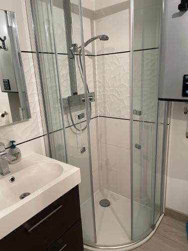 une salle de bain avec douche et lavabo dans l'établissement Chatel - appartement 2 pièces rénové - 4 personnes - proche centre - ménage inclus, à Châtel