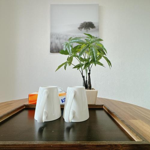 two white shoes sitting on a table with a plant at 【三米通天閣】401-4FA難波商圈天王寺心斎橋10min in Osaka