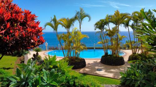Glorious APT - pool & ocean view by LovelyStay