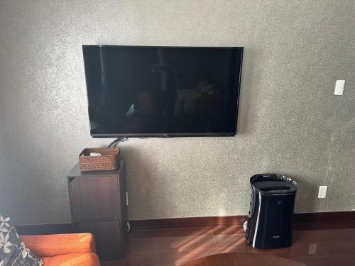 TV a/nebo společenská místnost v ubytování Penthouse Nakazato