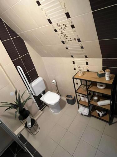 a bathroom with a toilet and a sink at Sáppusztai Vendégház in Damak