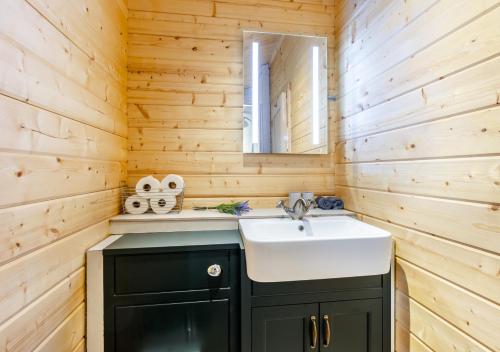 y baño con lavabo y espejo. en Foxglove Cabin, en Devils Bridge