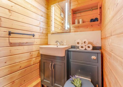 a bathroom with a sink and a toilet in a cabin at Bluebell Cabin in Devils Bridge