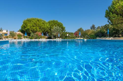 TAC - Alvor Delight