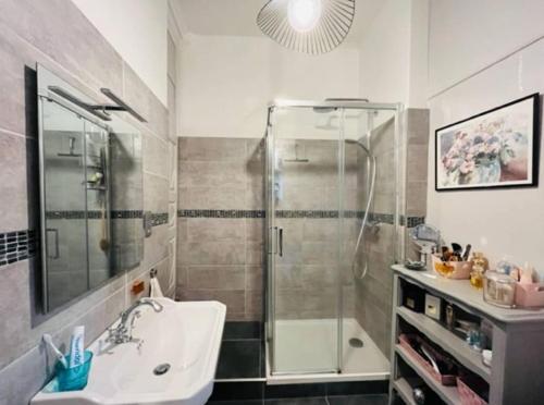 une salle de bain avec douche et lavabo dans l'établissement Appartement darmateur port de vannes 17 eme siècle, à Vannes