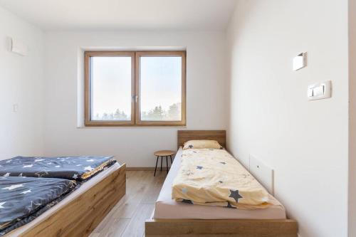 a bedroom with two beds and a window at Duplex Holiday Apartment in Škofljica
