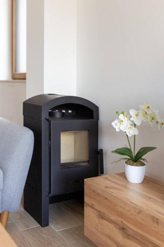 a black stove in a living room with a plant at Duplex Holiday Apartment in Škofljica