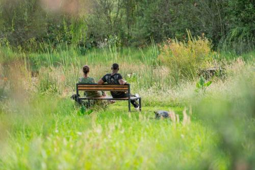 dos personas sentadas en un banco en un campo en Molweni - Kamberg Valley B&B, en Rev Estates