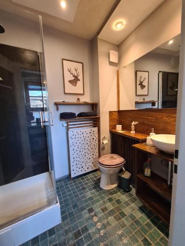 a bathroom with a shower and a toilet and a sink at 'Sissi' ein zaubehaftes Apartement im modernen Landhausstil in Oberammergau