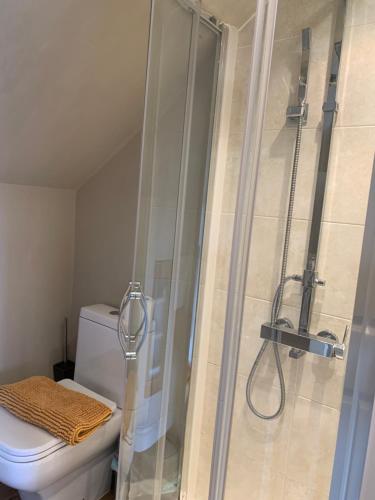 a bathroom with a shower with a toilet at First floor Pad Carterton near Burford in Shilton