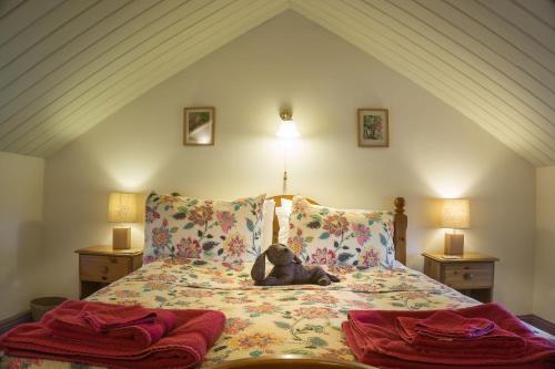 um urso de peluche sentado numa cama num quarto em Delfryn Holiday Cottages em Solva