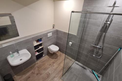 La salle de bains est pourvue d'une douche, de toilettes et d'un lavabo. dans l'établissement Panta Rhei - Logement de 12e stad, à Berlikum
