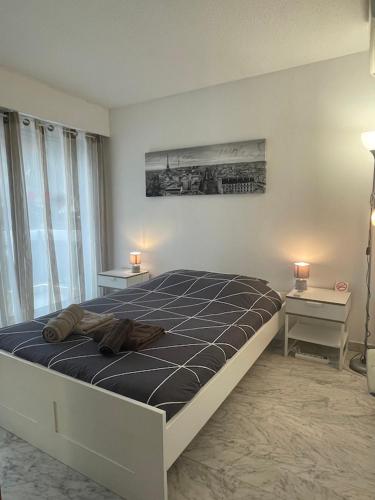 a bedroom with a large bed and two night tables at JUAN LES PINS, T2 Cosy et confortable, avec PARKING en sous-sol, proche plages et commerces in Antibes