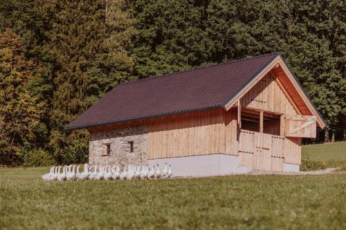 une grange en bois avec un toit noir dans un champ dans l'établissement Hofstatt Braunwiesen, Biohof bei Salzburg, à Söllheim