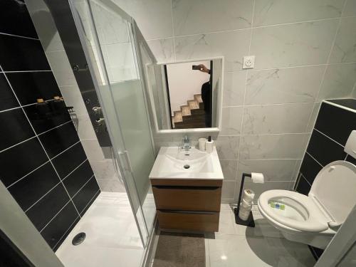ein Badezimmer mit einem Waschbecken, einem WC und einem Spiegel in der Unterkunft ZEN & SPA in Givet