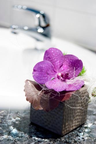 a purple flower sitting on top of a box at Hotel-Restaurant Dimmer - Mullerthal in Wallendorf pont