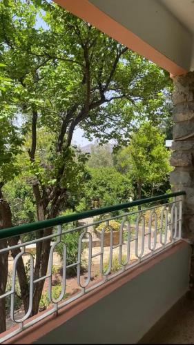 a balcony with a green railing and a tree at Auberge des Cascades Imouzzer - Paradise Valley in Imouzzer des Ida Ou Tanane