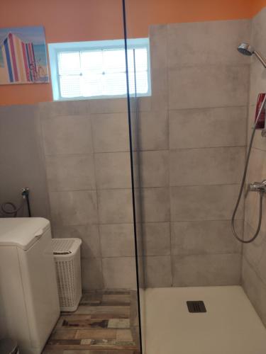 a bathroom with a shower and a toilet at Maison au pied de la montagne in Aspet