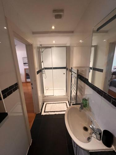 uma casa de banho com um lavatório e um chuveiro com um espelho. em Central Windsor, One Bedroom,Terrace & Private Parking em Windsor