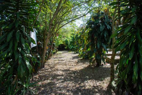 Fotografie z fotogalerie ubytování Hotel Karlaká Calarcá Quindio - Eje Cafetero v destinaci Calarcá