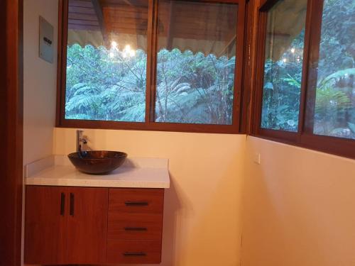 La salle de bains est pourvue d'un lavabo et de 2 fenêtres. dans l'établissement Finca Las Palmas Ecolodge, à Puyo