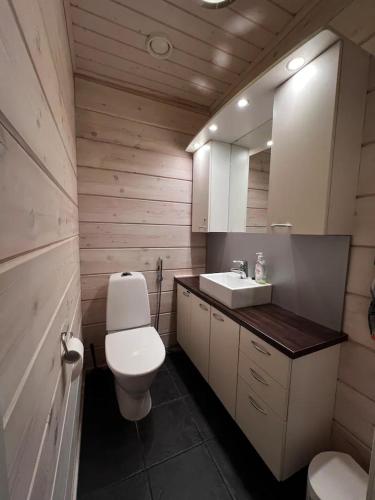 a bathroom with a white toilet and a sink at Ruka Cottage in Kuusamo