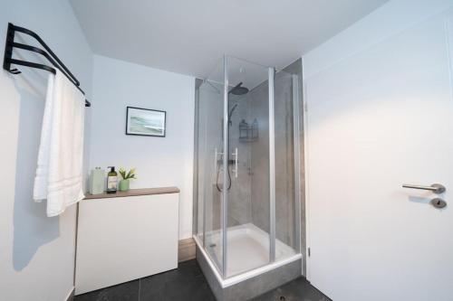 a shower with a glass door in a bathroom at NEW modernes Loft im Zentrum von Deggendorf in Deggendorf