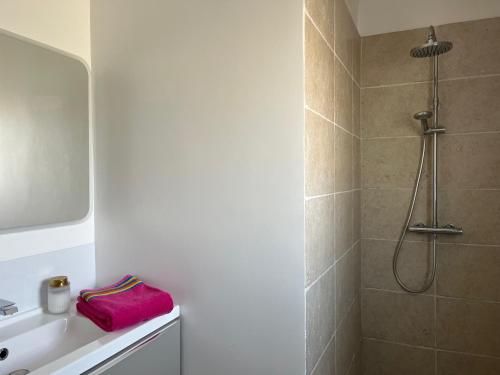 a bathroom with a shower and a sink at Charmante maison de ville in Saint-Jean-de-Luz