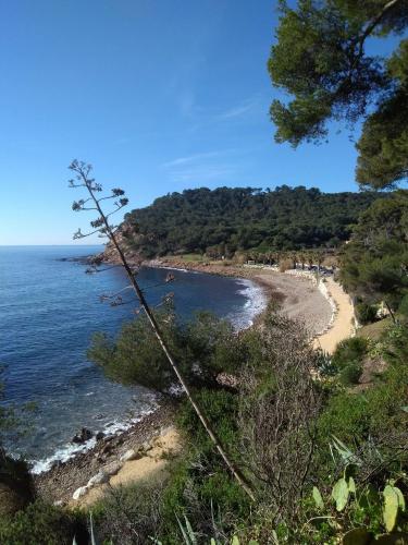 - une vue sur la plage avec des arbres et l'océan dans l'établissement Villa sur le toit, à Saint-Mandrier-sur-Mer