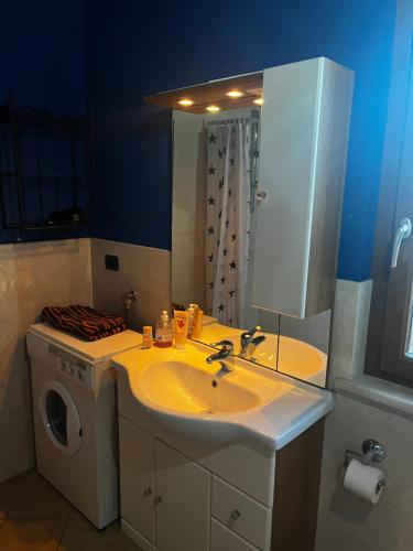 uma casa de banho com um lavatório e uma máquina de lavar roupa em Green House Torino em Turim