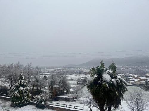 Tenuta Rella في درونيرو: مدينة مغطاة بالثلج مع نخلة