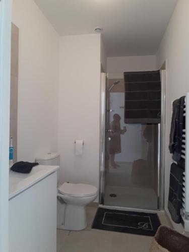 - une salle de bains pourvue de toilettes et d'une douche pour une femme dans l'établissement T2 VUE MER MARINA DI BRAVONE N197, à Linguizzetta