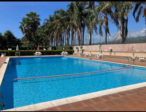 a large blue swimming pool with palm trees in the background at Focu e Mari in Mascali