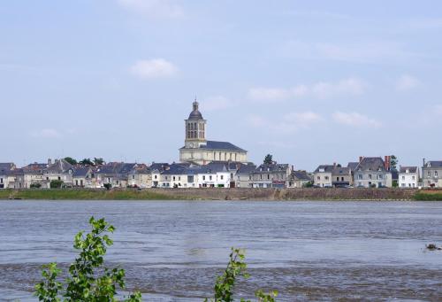 uitzicht op een stad vanaf de rivier bij Maison de campagne en cours de rénovation dans un village en bord de Loire in Saint-Mathurin