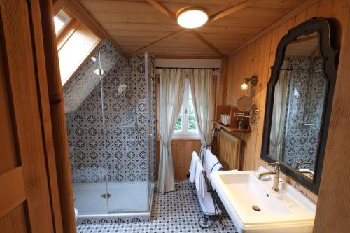 ein Bad mit einem Waschbecken, einer Dusche und einem Spiegel in der Unterkunft Chalet am Birkenhain in Hinterzarten