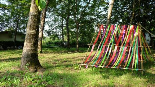 a bunch of colorful sticks sitting next to a tree at Polani - Il Noceto in Cave