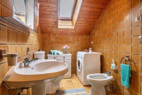 La salle de bains est pourvue d'un lavabo et de toilettes. dans l'établissement Haus Botter, à Collalbo