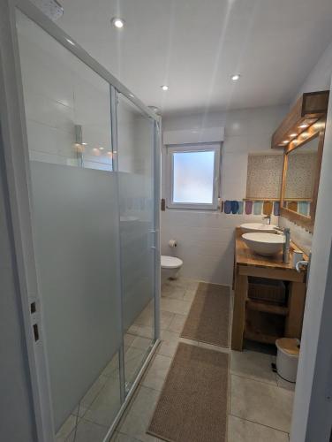 une salle de bain avec une douche, des toilettes et un lavabo dans l'établissement LA LOGIA DU SAPIN, à Villers-Allerand