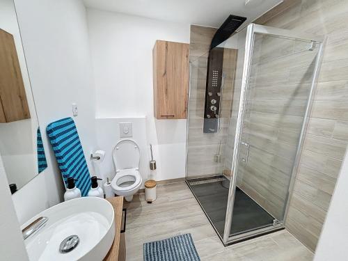 uma casa de banho com um WC e um chuveiro em NOMAD APARTMENTS - Astrid em Dinant